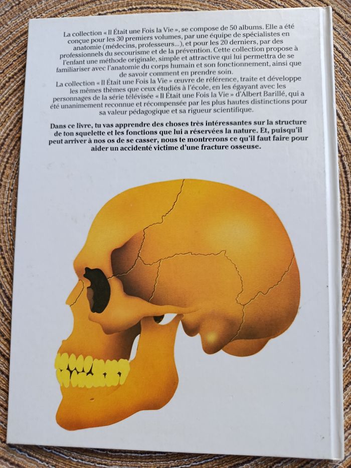 Il était une fois la vie le squelette nimeor 3 - photo numéro 2