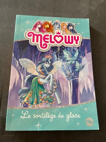 Livre roman jeunesse melowy tome 4