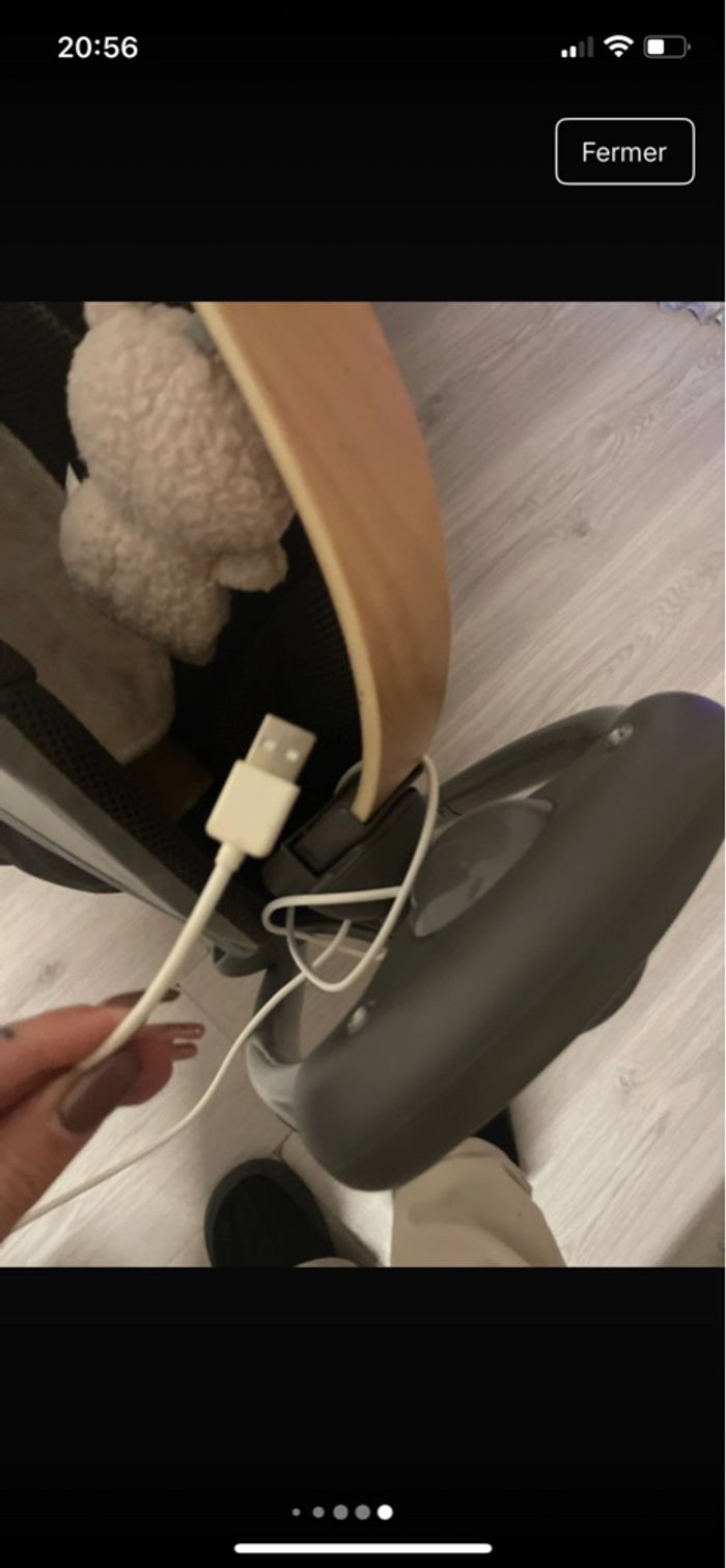 Balancelle électrique - photo numéro 9