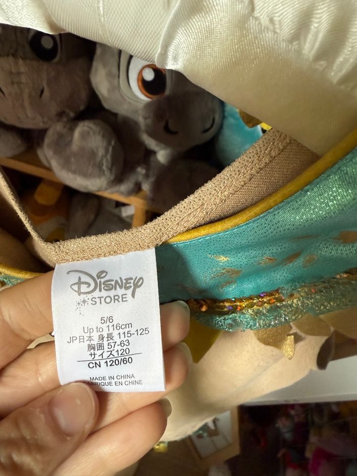 Déguisement Disney princesse Pocahontas - photo numéro 7