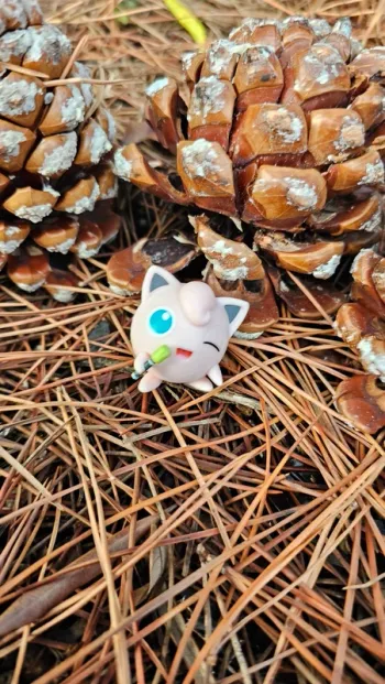 Super figurine Pokemon Nintendo Rondoudou Chanteur