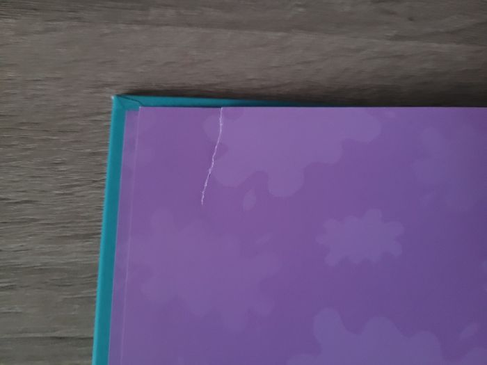 Lot de 2 livres Peppa Pig - photo numéro 4