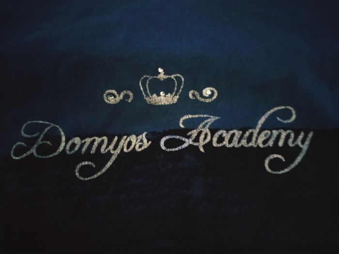 Haut manches longues Danseuse classique 10/11 ans 100% coton en très bon état - photo numéro 3