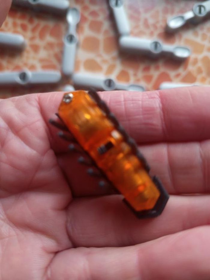 Jeu de société - Panic cafard - photo numéro 10