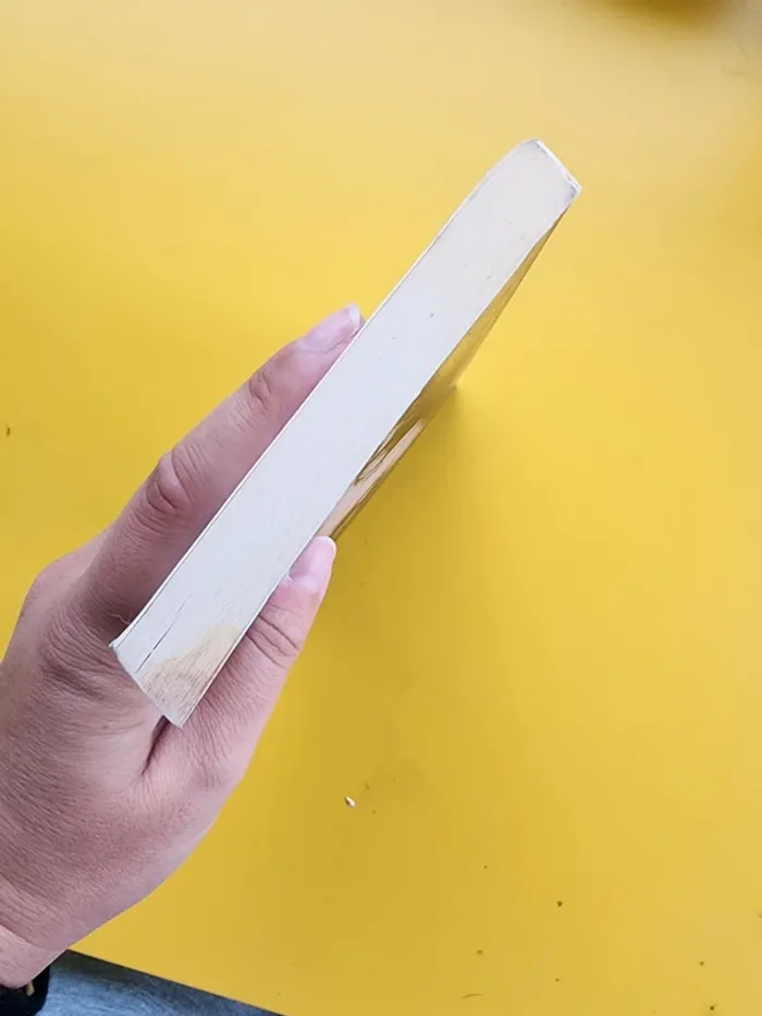 Livre de poche "la vie d'une autre" de Frédérique Deghelt - photo numéro 5