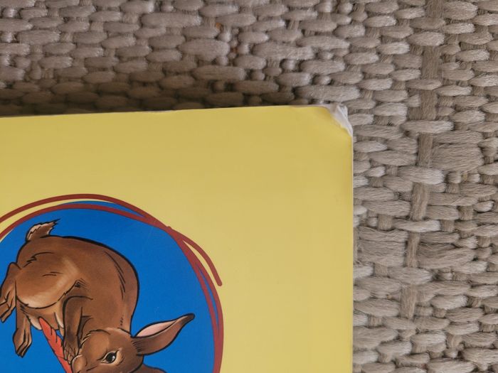 Livre "Je dessine des animaux" de Thierry Beaudenon - photo numéro 5