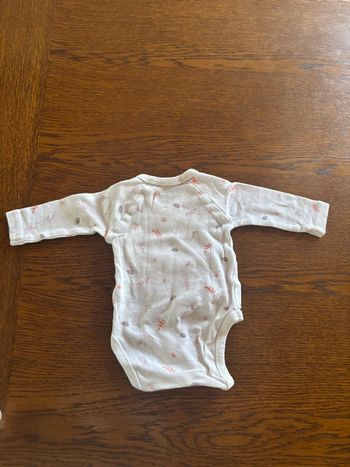 Lot 3 bodies