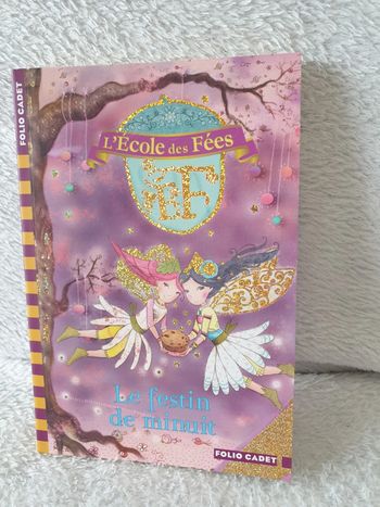 Livre L'école des fées tome 2