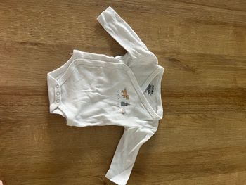 Lot de 3 body inspiration renard