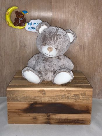 TEX94 doudou ours 🐻 tex