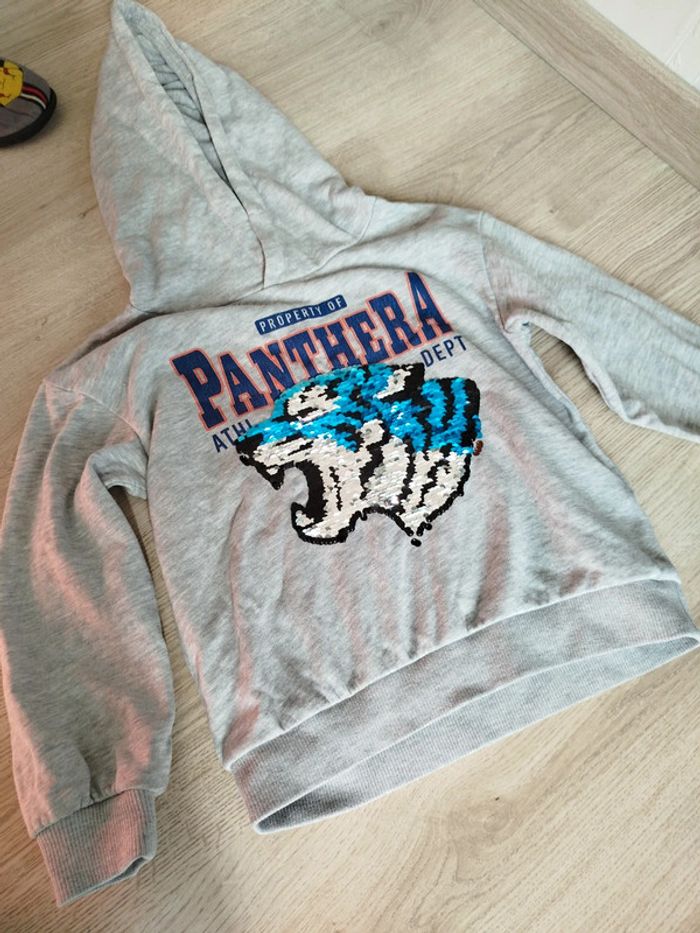 Pull a capuche gris 5-6 ans - photo numéro 2