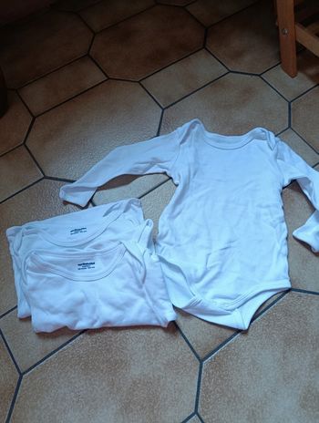 Lot body mixte