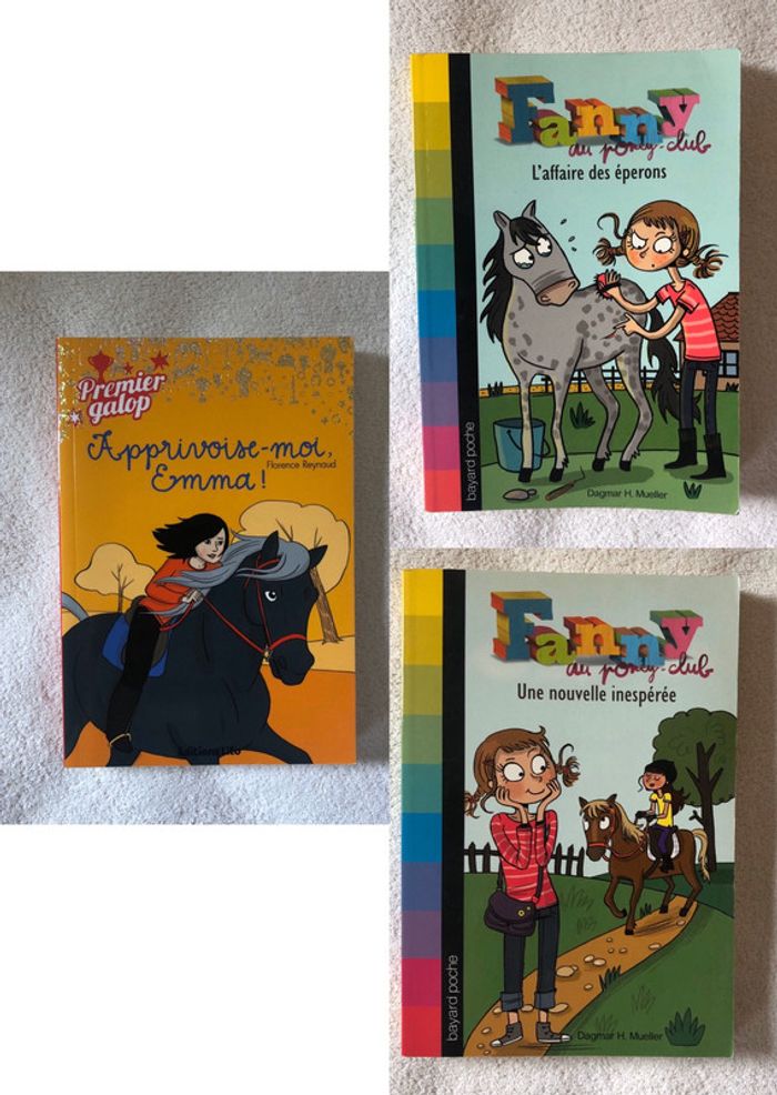 Lot livres sur le thème des chevaux