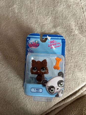 Petshop