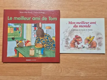 Lot de deux livres - Thème : Ami