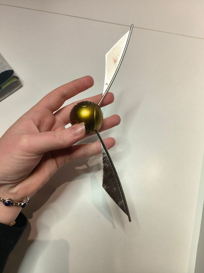 Vif d'or Harry Potter - photo numéro 6