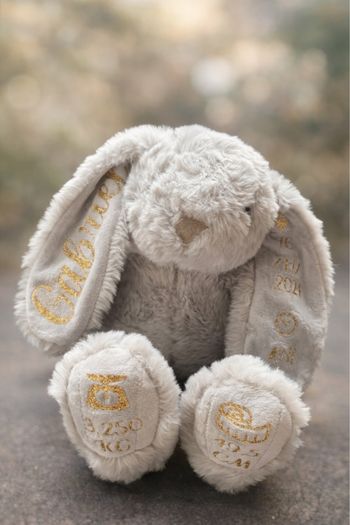 Doudou lapin personnalisé