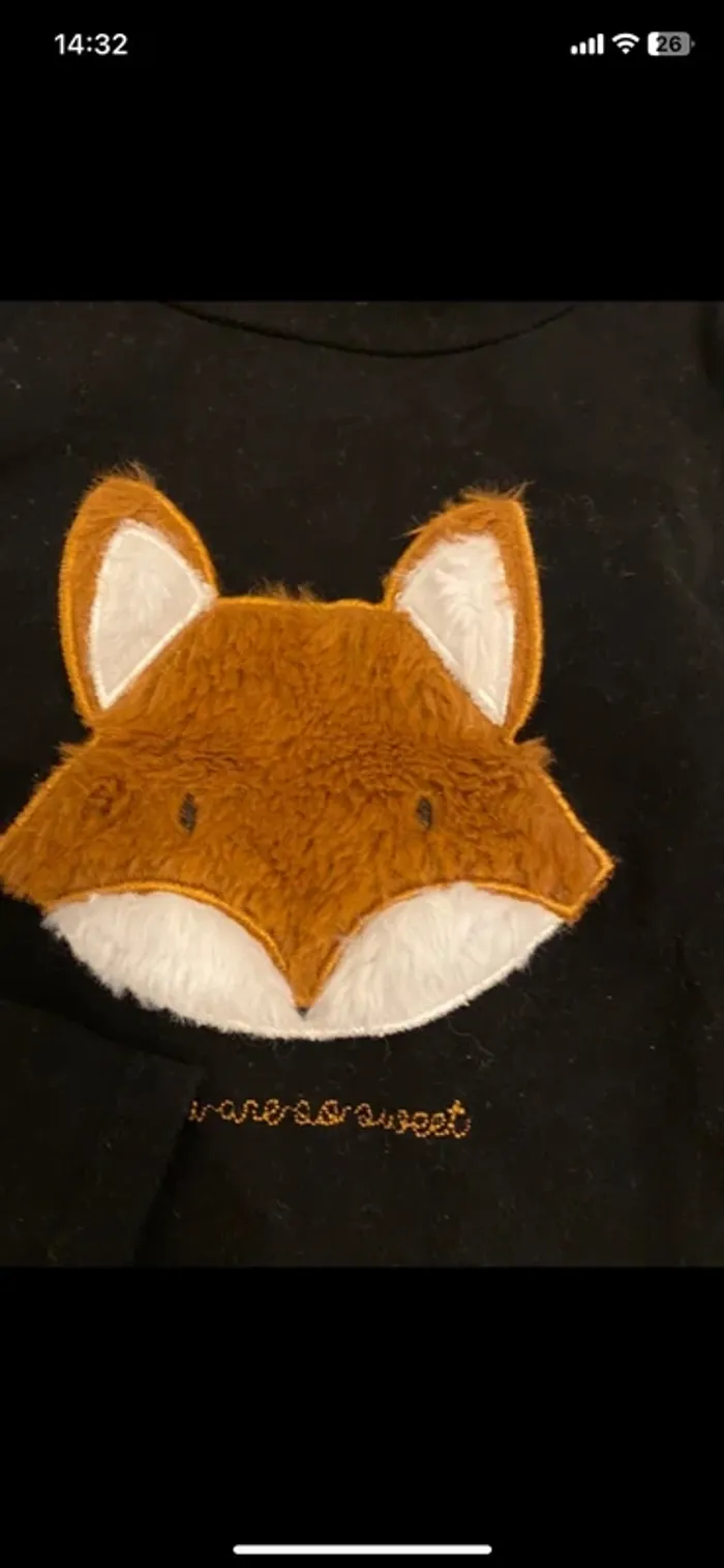 Pull renard - photo numéro 2