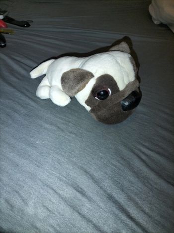 Peluche funny pet chien