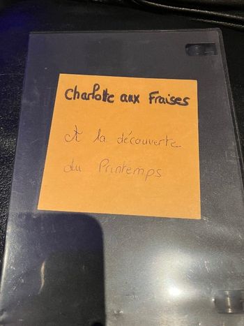 DVD Charlotte aux fraises