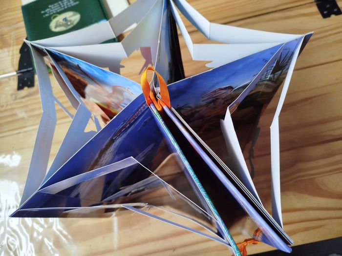 Les dinosaures du monde - photo numéro 4