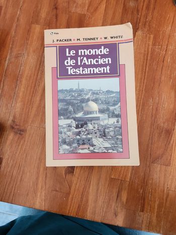 Livre le monde de lancien testament