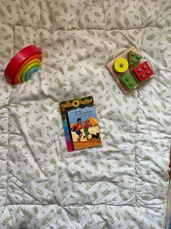 livre la cabane magique le secret de la pyramide tome 3