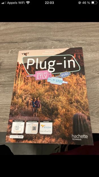 Plug-in Anglais