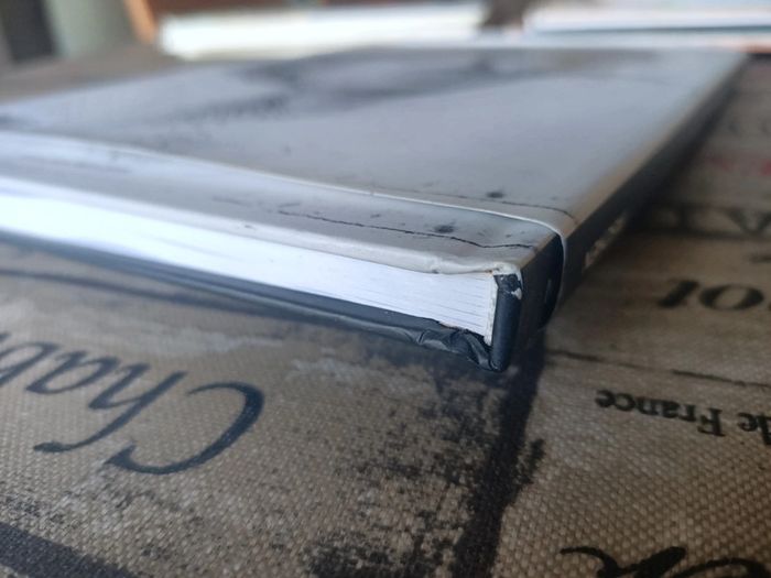 Livre Rembrandt (Michael Bockemühl / edition taschen) - photo numéro 6