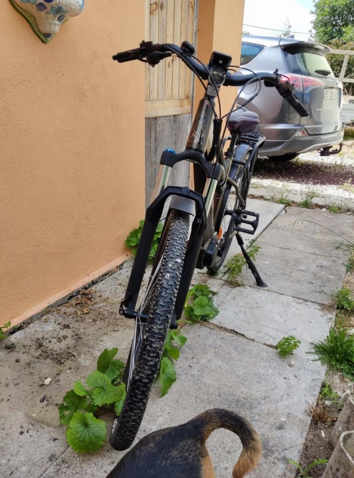 vélo électrique homme Nakamura E. Summit Suv Bronze - photo numéro 2