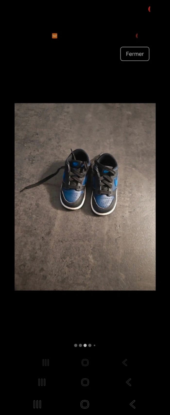 Baskets nike dunk