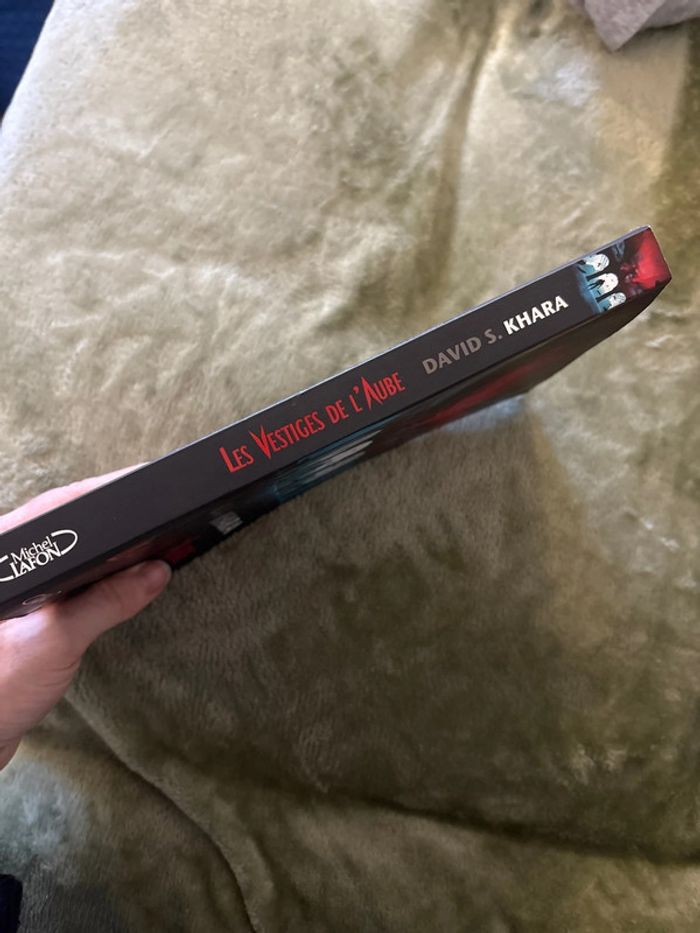 Roman les vestiges de l’aube - photo numéro 3