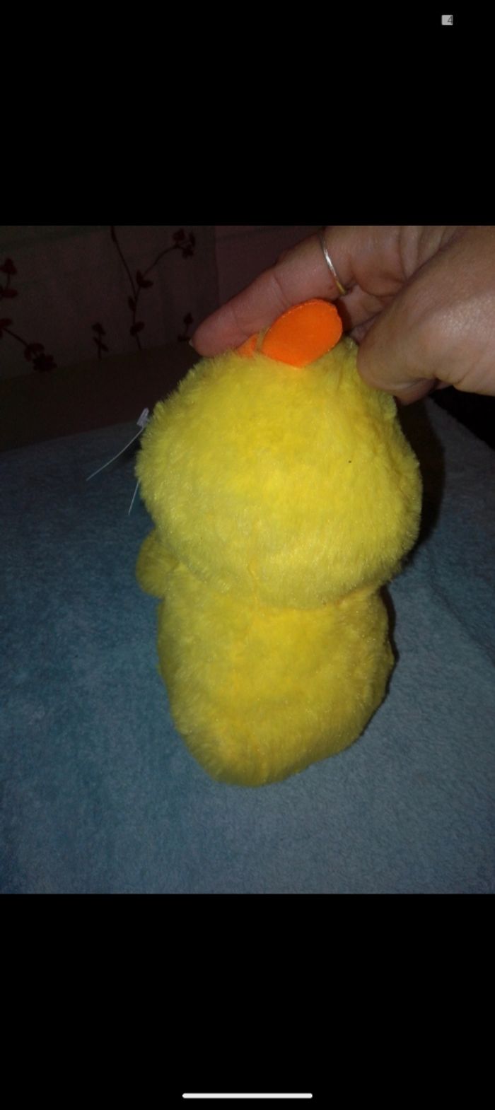 Peluche - photo numéro 3