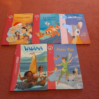 Livres Disney bibliothèque rose