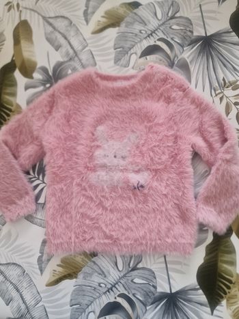 Pull à poils 36mois