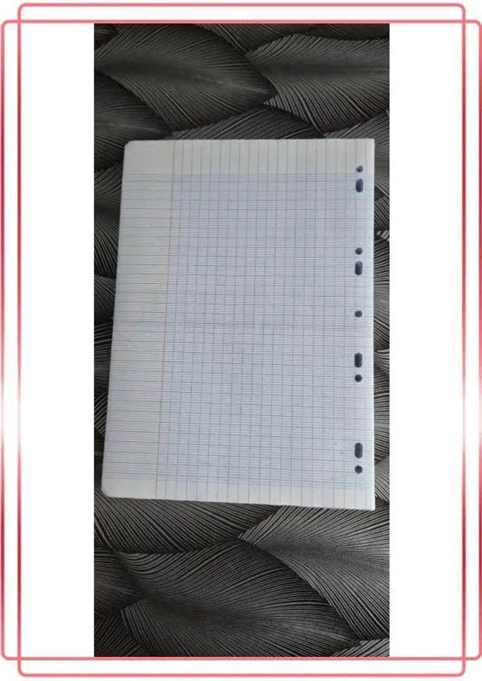 Feuilles a4 - photo numéro 2