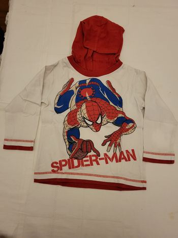 1 tee-shirt manche longue à capuche garçon 2 ans 