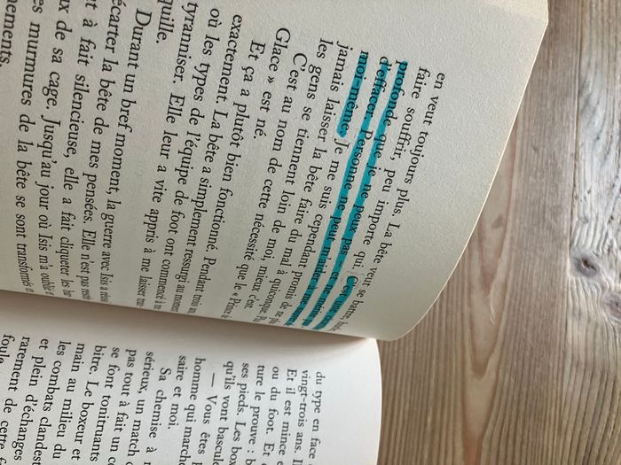 Trilogie je te hais - photo numéro 7