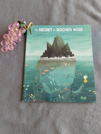 Le Secret du Rocher Noir de Joe Todd Stanton