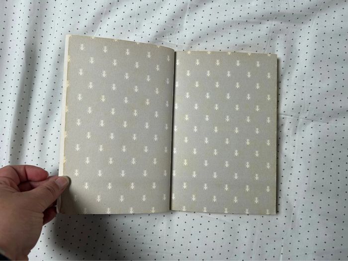 Livre L’araignée est une fine mouche - photo numéro 8