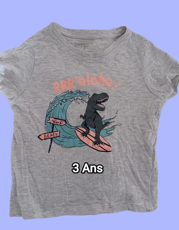 Tee shirt dinosaure. 3 Ans. In extenso.
