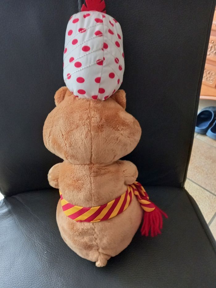 Hamster chef de la tribu - photo numéro 3