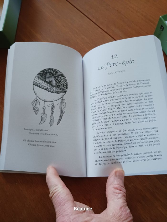 Les cartes medecine - photo numéro 5