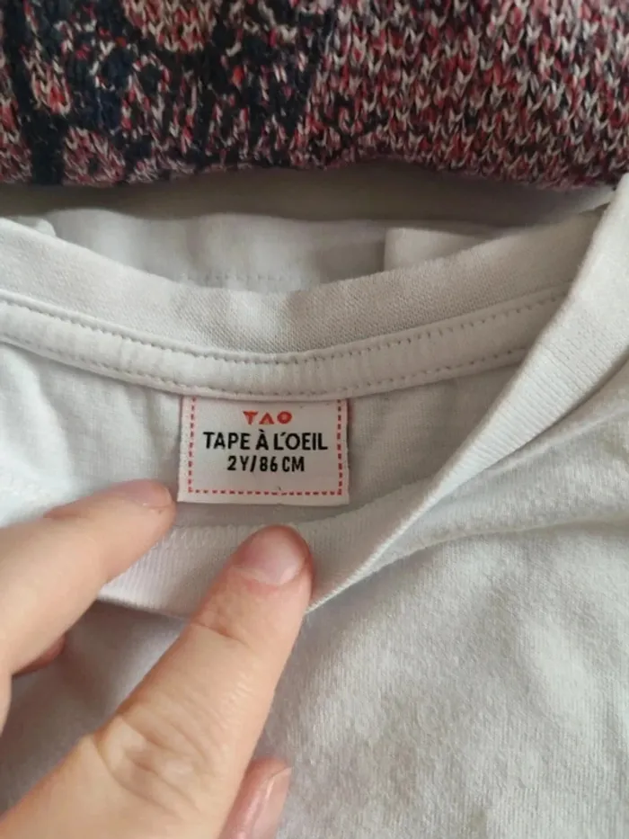 Pull et tshirt - photo numéro 2
