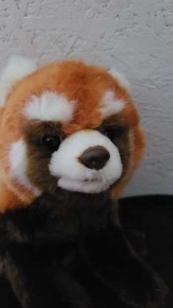 Peluche Panda Roux - 43 cm