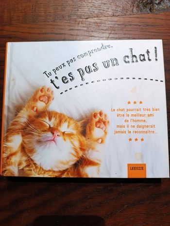Tu peux pas comprendre t'es pas un chat