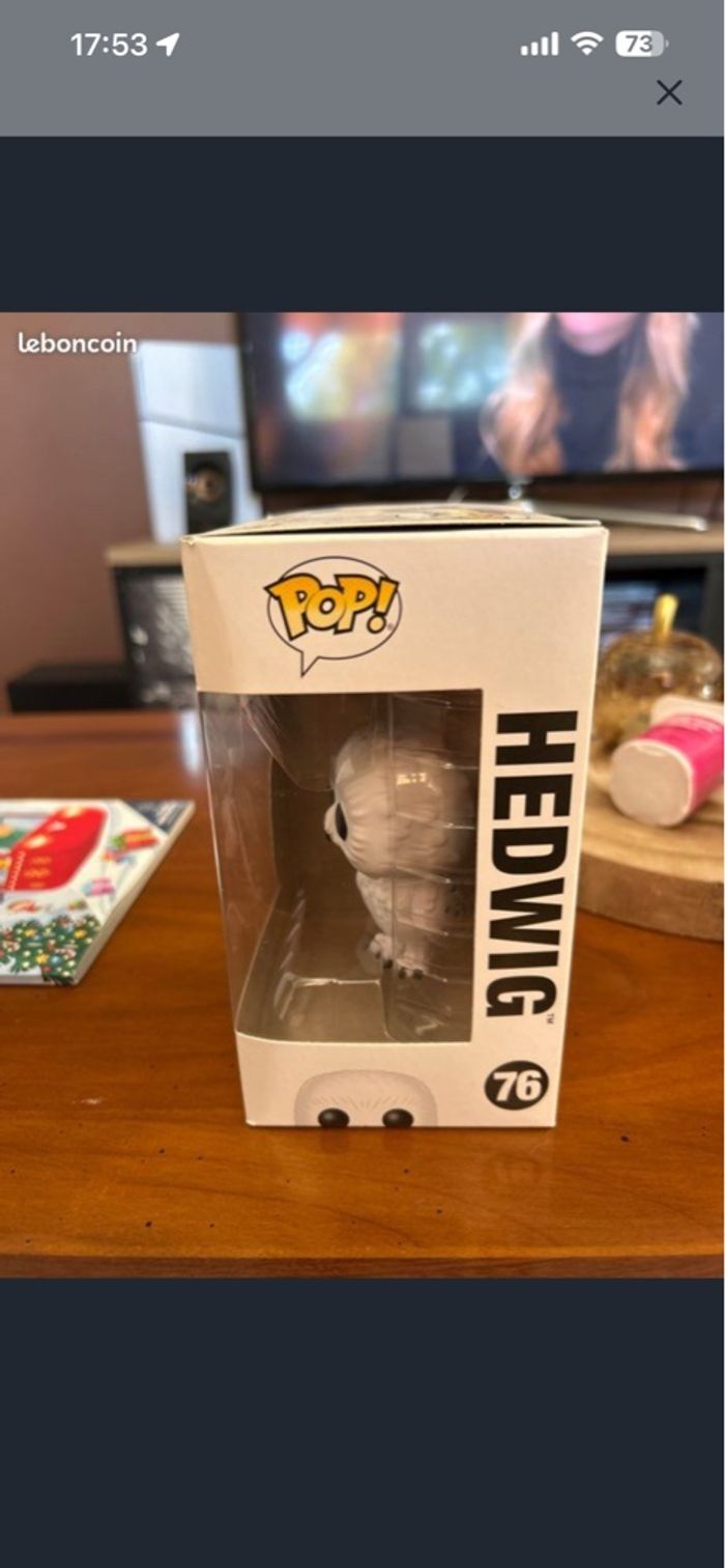 pop edwige - photo numéro 3