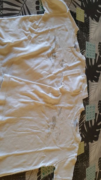 2 tee shirt manches courtes