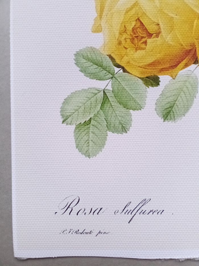 AFFICHE POSTER TOILE INFÉRIEURE A4 FLEURS ROSES - photo numéro 4