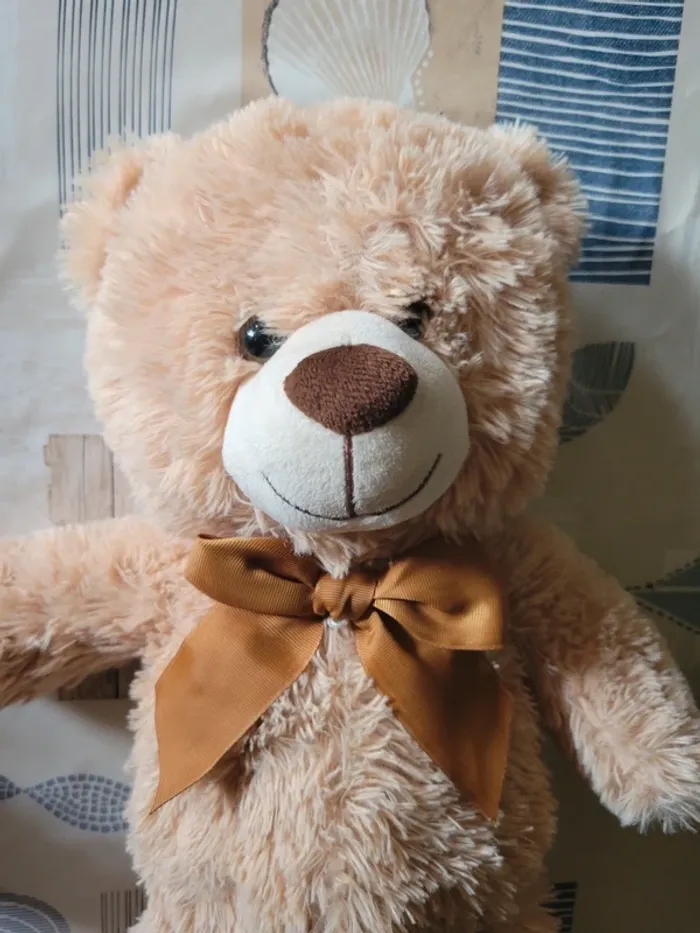 Ours en peluche - photo numéro 2